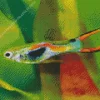 Guppy Fish Diamond Painting