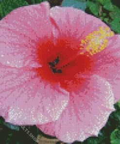 Hawaiian Flower Diamond Painting