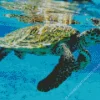 Hawksbill Sea Turtle Diamond Painting