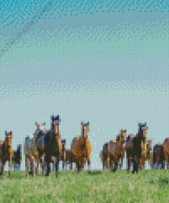 Herd Of Horses Diamond Painting