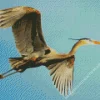 Heron Bird Flying Diamond Painting