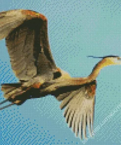 Heron Bird Flying Diamond Painting