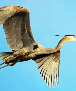 Heron Bird Flying Diamond Painting