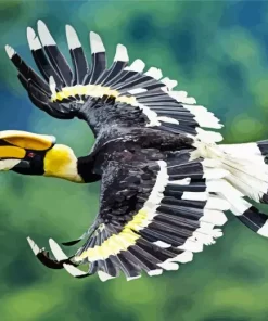 Hornbill Bird Diamond Painting