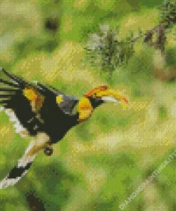 Hornbill Bird Flying Diamond Painting