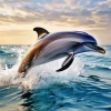 Jumping Dolphin Diamond Painting