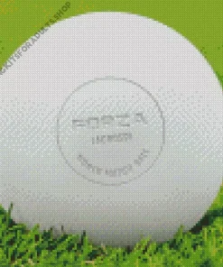 Lacrosse Ball Diamond Painting