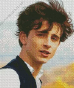 Laurie Little Women Diamond Painting