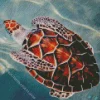 Loggerhead Sea Turtle Diamond Painting