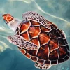 Loggerhead Sea Turtle Diamond Painting