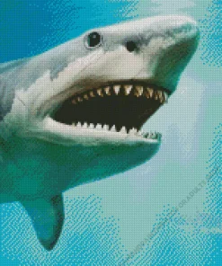 Megalodon Shark Diamond Painting