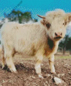 Miniature Cow Diamond Painting
