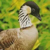 Nene Bird Diamond Painting