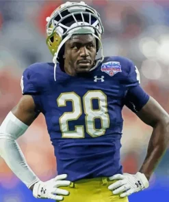 Notre Dame Football Player Diamond Painting