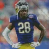 Notre Dame Football Player Diamond Painting