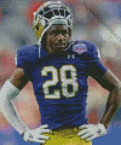 Notre Dame Football Player Diamond Painting