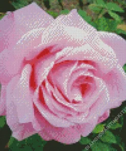 Pink Heirloom Rose Diamond Painting