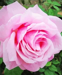 Pink Heirloom Rose Diamond Painting