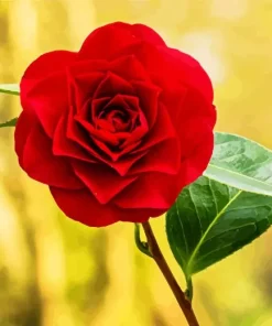 Red Camellia Flower Diamond Painting