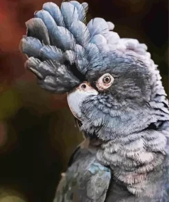 Red Tailed Black Cockatoo Diamond Painting
