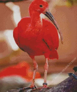 Scarlet Ibis Bird Diamond Painting
