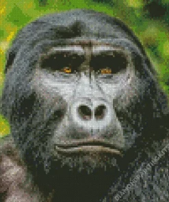 Silverback Gorilla Diamond Painting