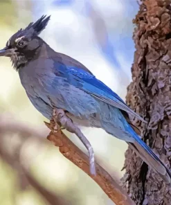 Stellers Jay Bird Diamond Painting