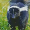 Striped Skunk Diamond Painting
