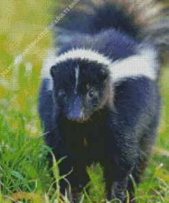 Striped Skunk Diamond Painting