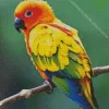 Sun Conure Bird Diamond Painting