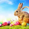 The Easter Bunny Diamond Painting