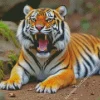 Tiger Roaring Diamond Painting