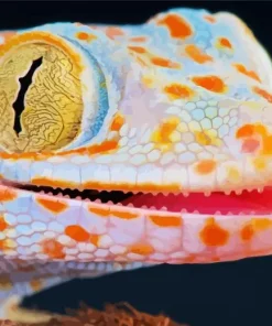 Tokay Gecko Diamond Painting