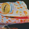 Tokay Gecko Diamond Painting