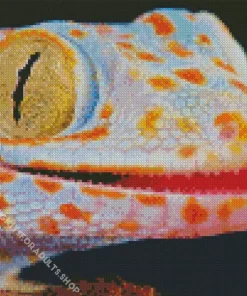 Tokay Gecko Diamond Painting