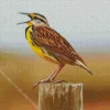 Western Meadowlark Diamond Painting