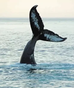Whale Tail Diamond Painting