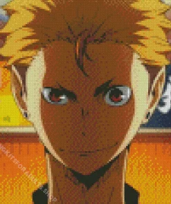 Yuji Terushima Diamond Painting