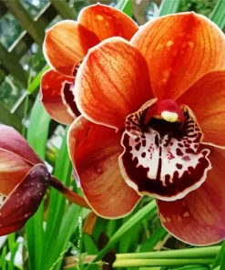 Brown Flowers Diamond Painting