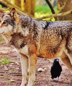 Brown Wolf Diamond Painting