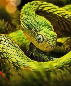 Green Bush Snake Diamond Painting