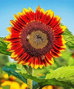 Helianthus Giganteus Diamond Painting