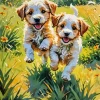 Aesthetic Maltipoo Dogs Diamond Painting