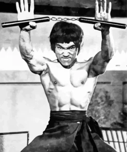 Black And White Bruce Lee Diamond Painting