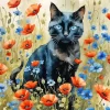 Black Cat Blue Eyes Art Diamond Painting