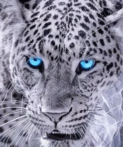 Blue Eyes Leopard Diamond Painting