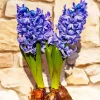 Blue Hyacinth Flowers Diamond Painting