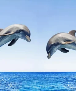 Bottlenose Dolphins Diamond Painting