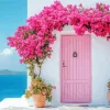 Bougainvillea Front Door Diamond Painting