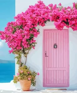 Bougainvillea Front Door Diamond Painting